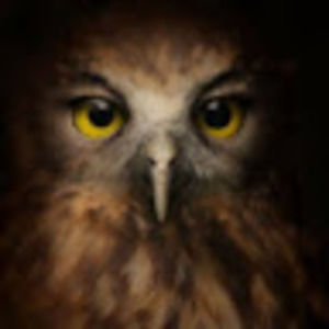 Meet your Posher, Mandy